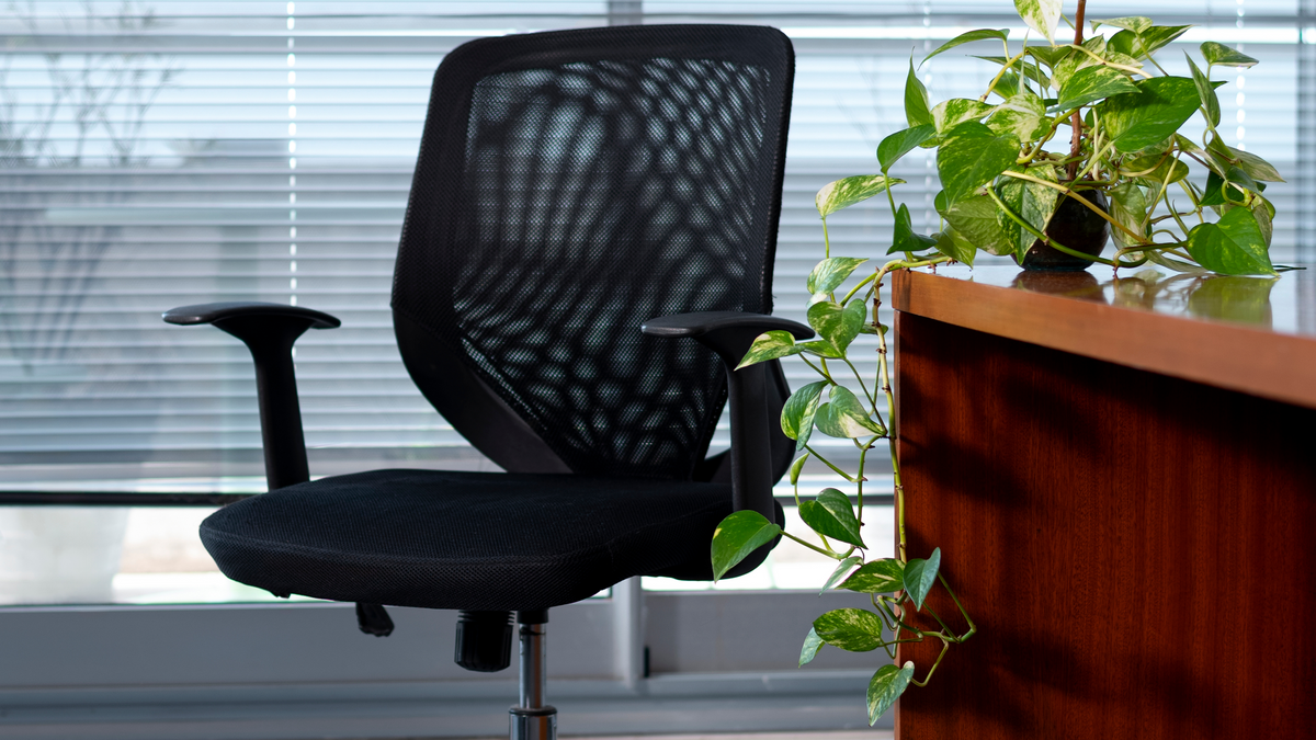 Black or White? Picking the Right Chair to Match Your Office