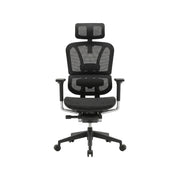 Cushioned High Back Executive Chair